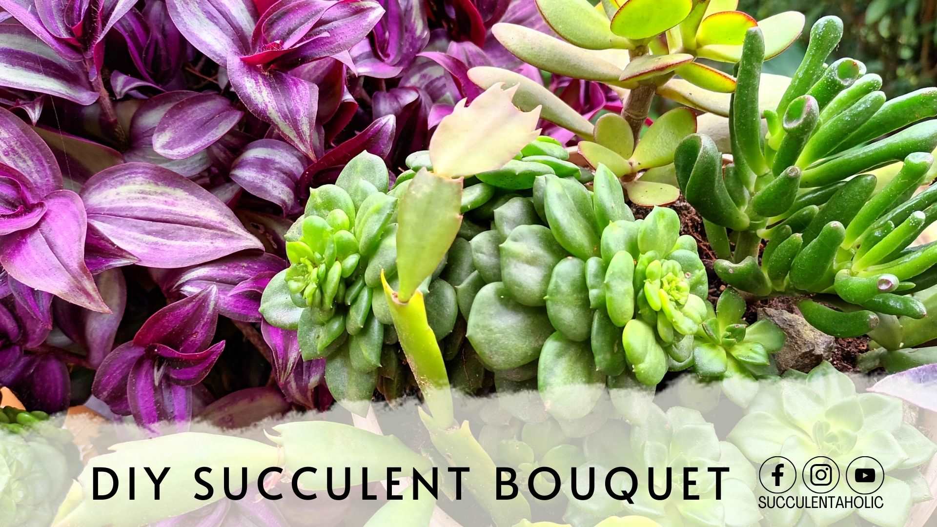 DIY succulent bouquet